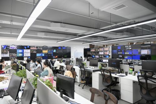 營收15 投入研發,小鳥科技如何坐穩國內視聽領域 領頭羊