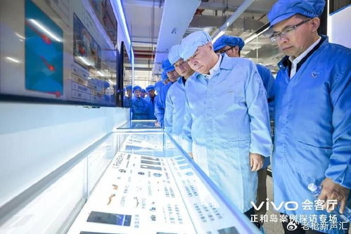 押 重注 的智慧,一位科技戰(zhàn)略專家眼中的vivo